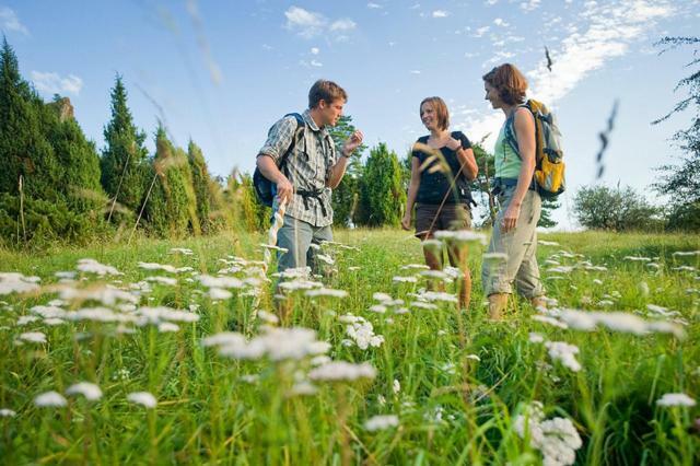 Nengshof Ferienwohnung Wildrose Wißmannsdorf Exteriér fotografie