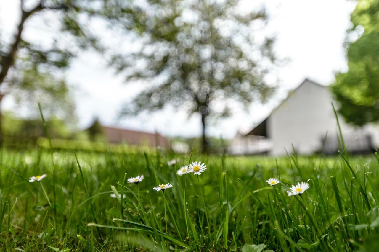 Nengshof Ferienwohnung Wildrose Wißmannsdorf Exteriér fotografie